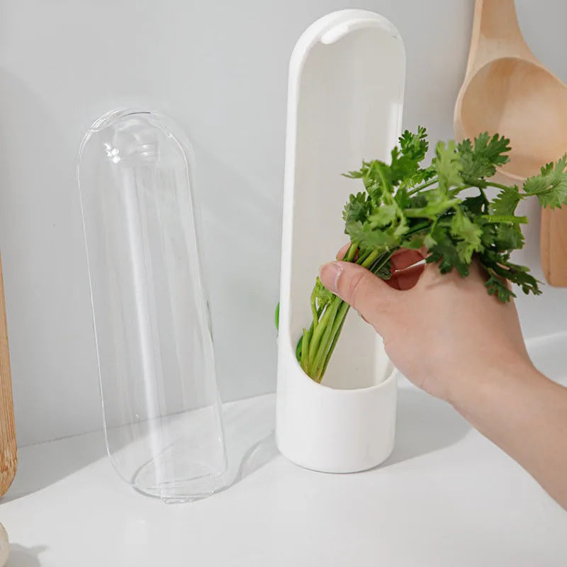 Fresh Herb Preservative Container