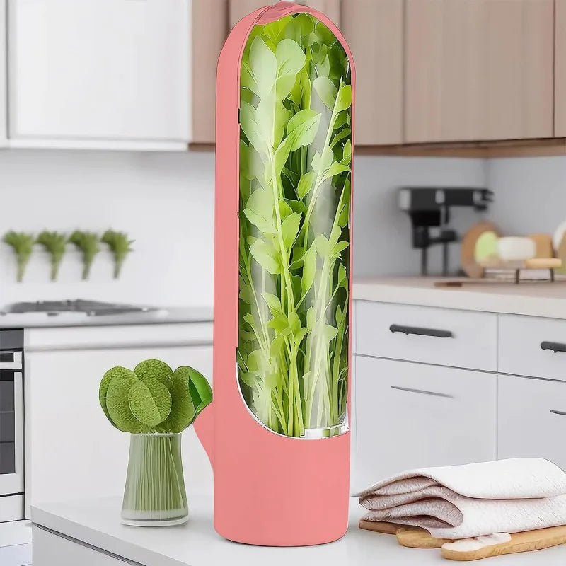 Fresh Herb Preservative Container